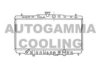 AUTOGAMMA 102119 Radiator, engine cooling